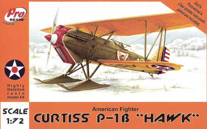 Curtiss Hawk P1B 1/72 (Resin)