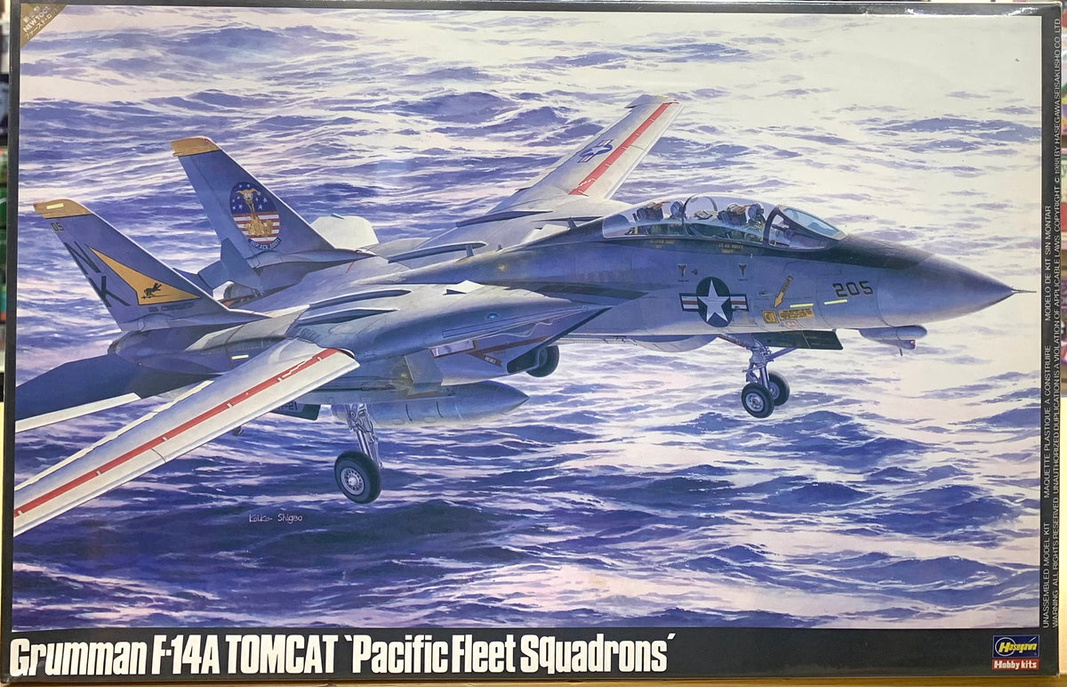 F-14A Tomcat 