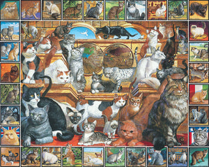 World of Cats - 1000 Piece Jigsaw Puzzle #135