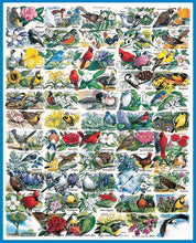 Load image into Gallery viewer, State Birds &amp; Flowers - 1000 Piece Jigsaw Puzzle, (140)