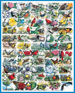State Birds & Flowers - 1000 Piece Jigsaw Puzzle, (140)