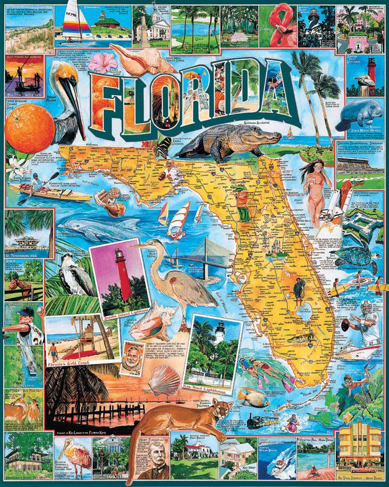 Florida - 1000 Piece Jigsaw Puzzle #233