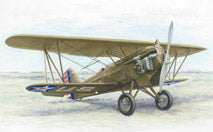 Curtiss P-2 HAWK 1/72 (Resin)