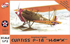 Curtiss Hawk P1B 1/72 (Resin)