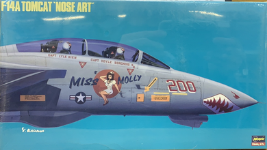 F-14A (Nose Art) 1/72