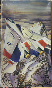 Grumman F14D Super Tomcat 1/72